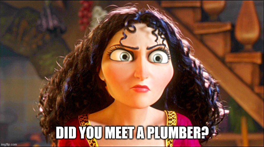 Mother Gothel | DID YOU MEET A PLUMBER? | image tagged in mother gothel | made w/ Imgflip meme maker