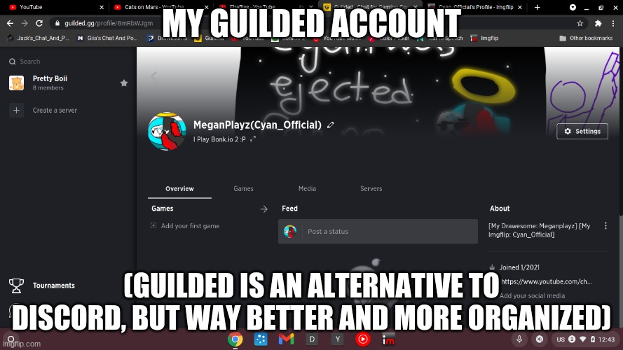 yep................. | MY GUILDED ACCOUNT; (GUILDED IS AN ALTERNATIVE TO DISCORD, BUT WAY BETTER AND MORE ORGANIZED) | image tagged in idk,sus,cyan_official | made w/ Imgflip meme maker