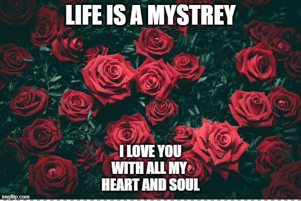 LOVE | LIFE IS A MYSTREY; I LOVE YOU
WITH ALL MY 
HEART AND SOUL | image tagged in love,life,pain,angel | made w/ Imgflip meme maker