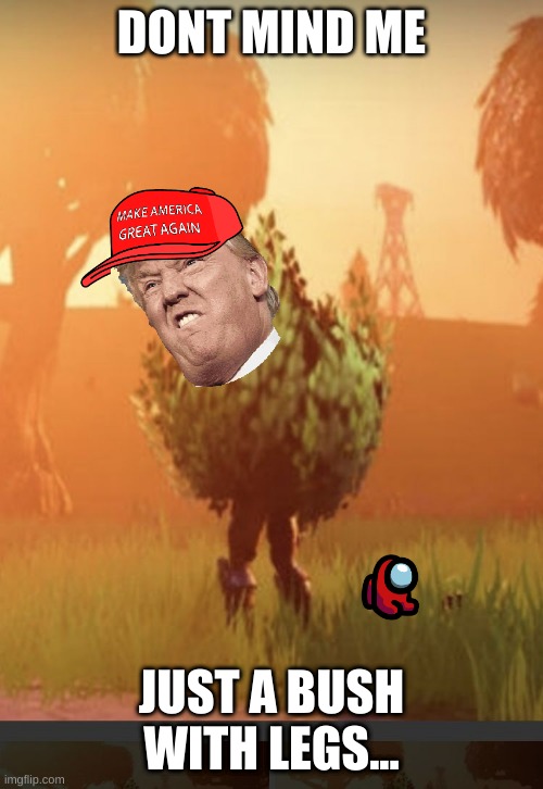 Fortnite bush | DONT MIND ME; JUST A BUSH WITH LEGS... | image tagged in fortnite bush,donald trump | made w/ Imgflip meme maker