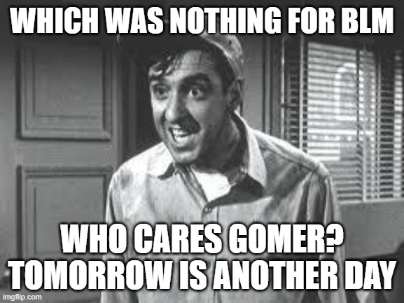 Gomer Pyle | WHICH WAS NOTHING FOR BLM WHO CARES GOMER? TOMORROW IS ANOTHER DAY | image tagged in gomer pyle | made w/ Imgflip meme maker
