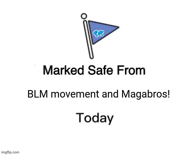 Marked Safe From | 🗺; BLM movement and Magabros! | image tagged in memes,marked safe from,trash can | made w/ Imgflip meme maker