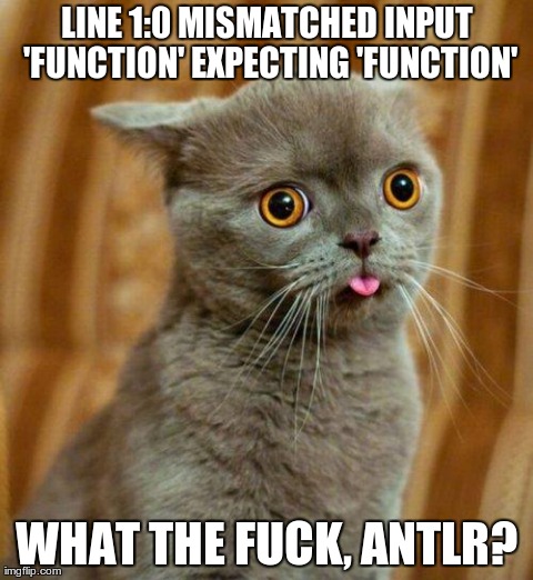 LINE 1:0 MISMATCHED INPUT 'FUNCTION' EXPECTING 'FUNCTION' WHAT THE F**K, ANTLR? | image tagged in derp cat | made w/ Imgflip meme maker