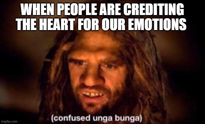 why tho | WHEN PEOPLE ARE CREDITING THE HEART FOR OUR EMOTIONS | image tagged in confused unga bunga | made w/ Imgflip meme maker