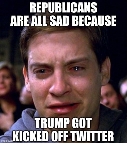 crying peter parker | REPUBLICANS ARE ALL SAD BECAUSE TRUMP GOT KICKED OFF TWITTER | image tagged in crying peter parker | made w/ Imgflip meme maker