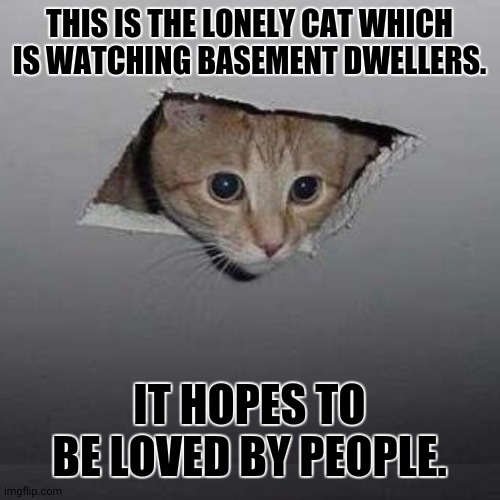 Ceiling Cat Meme | THIS IS THE LONELY CAT WHICH IS WATCHING BASEMENT DWELLERS. IT HOPES TO BE LOVED BY PEOPLE. | image tagged in memes,ceiling cat,sad kitten | made w/ Imgflip meme maker