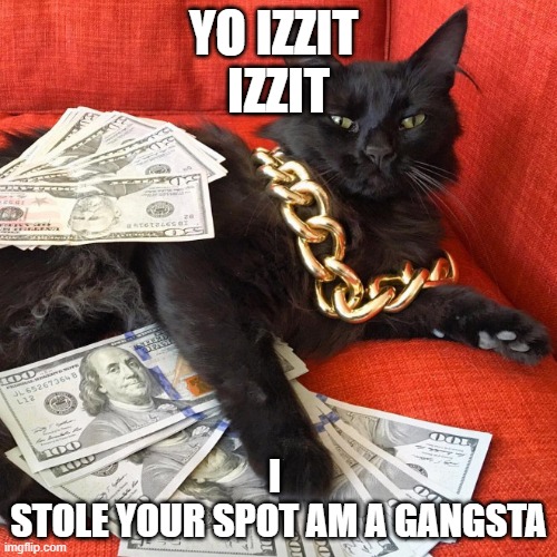 Gangster Cat | YO IZZIT 

IZZIT; I 
STOLE YOUR SPOT AM A GANGSTA | image tagged in gangster cat | made w/ Imgflip meme maker