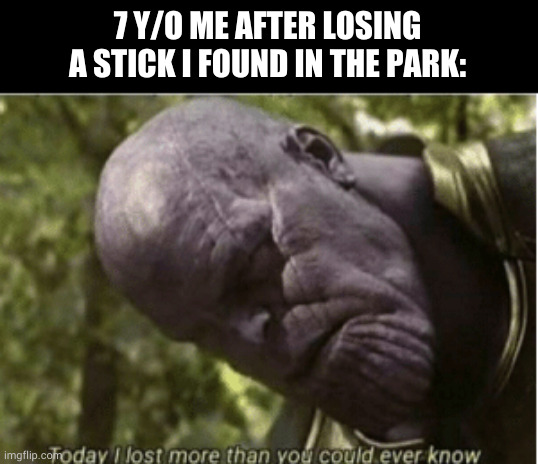 pure pain | 7 Y/O ME AFTER LOSING A STICK I FOUND IN THE PARK: | image tagged in today i lost more than you could ever know | made w/ Imgflip meme maker