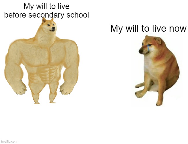 :( | My will to live before secondary school; My will to live now | image tagged in memes,buff doge vs cheems | made w/ Imgflip meme maker