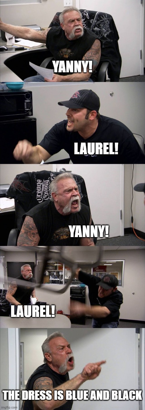 Wait wha? | YANNY! LAUREL! YANNY! LAUREL! THE DRESS IS BLUE AND BLACK | image tagged in memes,american chopper argument | made w/ Imgflip meme maker