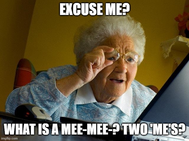 what is a mee mee? | EXCUSE ME? WHAT IS A MEE-MEE-? TWO 'ME'S? | image tagged in memes,grandma finds the internet | made w/ Imgflip meme maker
