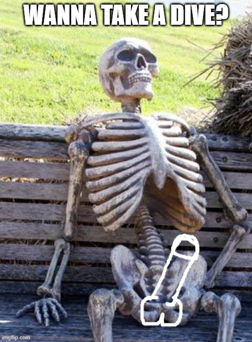 Boner | WANNA TAKE A DIVE? | image tagged in memes,waiting skeleton,nsfw,boner | made w/ Imgflip meme maker