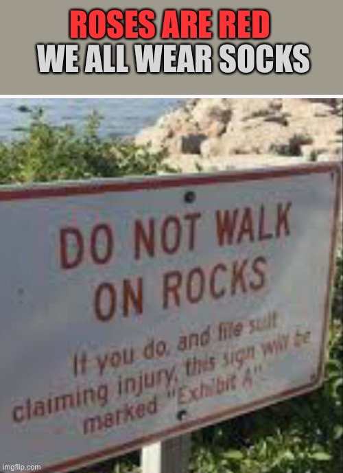 There would be people to do that... | WE ALL WEAR SOCKS; ROSES ARE RED | image tagged in memes,funny,rocks,rhymes,roses are red | made w/ Imgflip meme maker