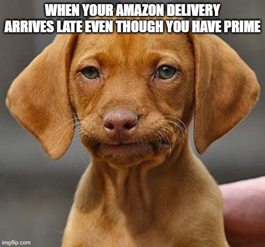 https://s3.amazonaws.com/uploads.hipchat.com/18740/3152705/mE6Nl | WHEN YOUR AMAZON DELIVERY ARRIVES LATE EVEN THOUGH YOU HAVE PRIME | image tagged in https //s3 amazonaws com/uploads hipchat com/18740/3152705/me6nl | made w/ Imgflip meme maker