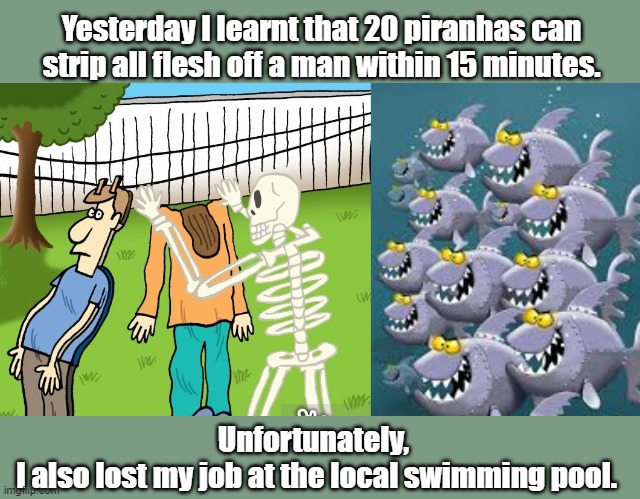 piranhas | Yesterday I learnt that 20 piranhas can strip all flesh off a man within 15 minutes. Unfortunately, 
I also lost my job at the local swimming pool. | image tagged in funny | made w/ Imgflip meme maker