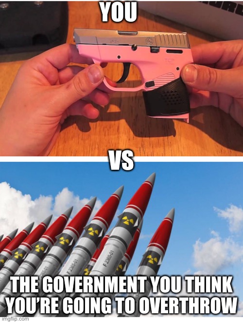 Overthrowing the USA Government | YOU; VS; THE GOVERNMENT YOU THINK YOU’RE GOING TO OVERTHROW | image tagged in guns,nuke,usa,trump,civil war,politics | made w/ Imgflip meme maker