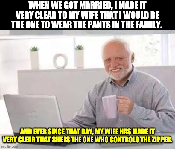 Wearing the pants | WHEN WE GOT MARRIED, I MADE IT VERY CLEAR TO MY WIFE THAT I WOULD BE THE ONE TO WEAR THE PANTS IN THE FAMILY. AND EVER SINCE THAT DAY, MY WIFE HAS MADE IT VERY CLEAR THAT SHE IS THE ONE WHO CONTROLS THE ZIPPER. | image tagged in harold | made w/ Imgflip meme maker