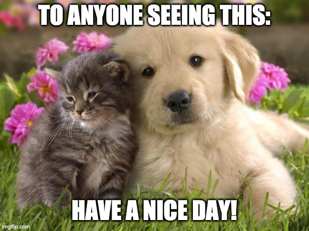 puppies and kittens | TO ANYONE SEEING THIS:; HAVE A NICE DAY! | image tagged in puppies and kittens | made w/ Imgflip meme maker