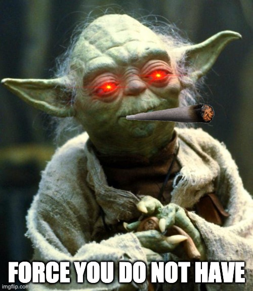 Star Wars Yoda Meme | FORCE YOU DO NOT HAVE | image tagged in memes,star wars yoda | made w/ Imgflip meme maker