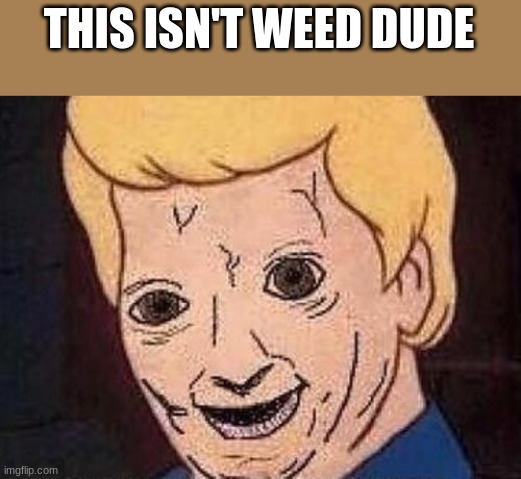 Shaggy this isnt weed fred scooby doo | THIS ISN'T WEED DUDE | image tagged in shaggy this isnt weed fred scooby doo | made w/ Imgflip meme maker