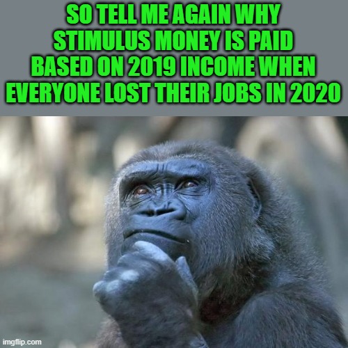 yep | SO TELL ME AGAIN WHY STIMULUS MONEY IS PAID BASED ON 2019 INCOME WHEN EVERYONE LOST THEIR JOBS IN 2020 | image tagged in that is the question | made w/ Imgflip meme maker