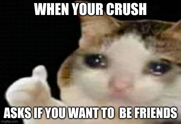 So sad | WHEN YOUR CRUSH; ASKS IF YOU WANT TO  BE FRIENDS | image tagged in funny | made w/ Imgflip meme maker