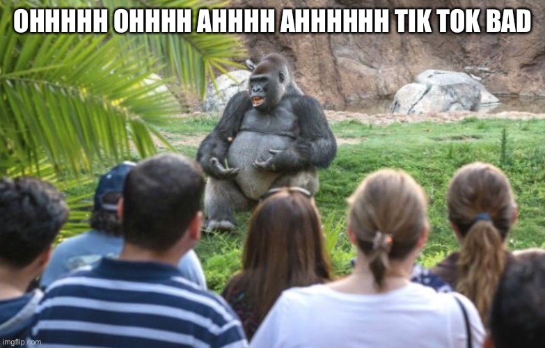 ted talk gorilla | OHHHHH OHHHH AHHHH AHHHHHH TIK TOK BAD | image tagged in ted talk gorilla | made w/ Imgflip meme maker