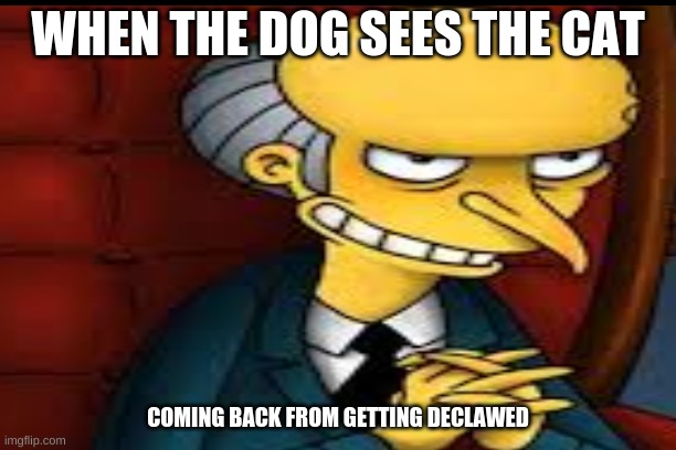  WHEN THE DOG SEES THE CAT; COMING BACK FROM GETTING DECLAWED | image tagged in simpsons | made w/ Imgflip meme maker