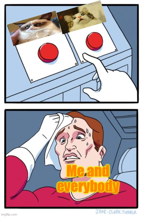 Two Buttons Meme | Me and everybody | image tagged in memes,two buttons | made w/ Imgflip meme maker
