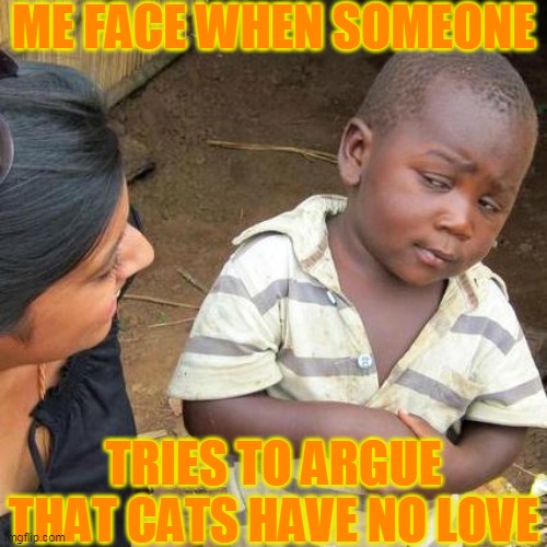 Third World Skeptical Kid | ME FACE WHEN SOMEONE; TRIES TO ARGUE THAT CATS HAVE NO LOVE | image tagged in memes,third world skeptical kid,cats | made w/ Imgflip meme maker