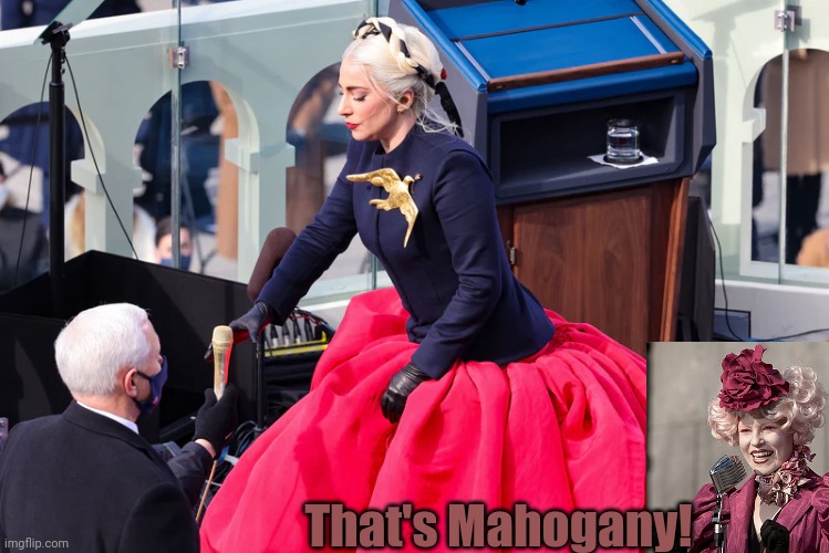 I hope my District wins this year... | That's Mahogany! | image tagged in lady gaga biden inauguration,happy hunger games,effie turnbull,that's mahogany,memes,may fortune favor you all | made w/ Imgflip meme maker