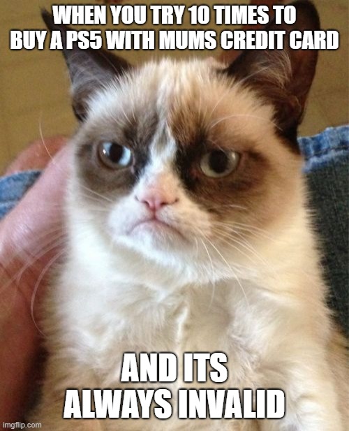 Grumpy Cat Meme | WHEN YOU TRY 10 TIMES TO BUY A PS5 WITH MUMS CREDIT CARD; AND ITS ALWAYS INVALID | image tagged in memes,grumpy cat | made w/ Imgflip meme maker