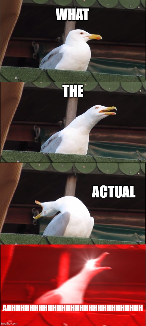 Inhaling Seagull | WHAT; THE; ACTUAL; AHHHHHHHHHHHHHHHHHHHHHHHHHHHHHH | image tagged in memes,inhaling seagull | made w/ Imgflip meme maker