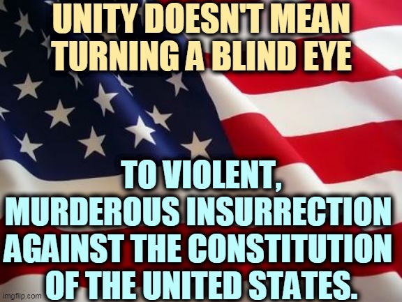 That includes you, Cruz, Hawley, Biggs, Gosar, Brooks, Boebert, and anyone else involved in the failed coup. | UNITY DOESN'T MEAN TURNING A BLIND EYE; TO VIOLENT, MURDEROUS INSURRECTION 
AGAINST THE CONSTITUTION 
OF THE UNITED STATES. | image tagged in american flag,republican,criminals | made w/ Imgflip meme maker