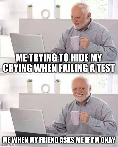 am i emotional- | ME TRYING TO HIDE MY CRYING WHEN FAILING A TEST; ME WHEN MY FRIEND ASKS ME IF I'M OKAY | image tagged in memes,hide the pain harold | made w/ Imgflip meme maker