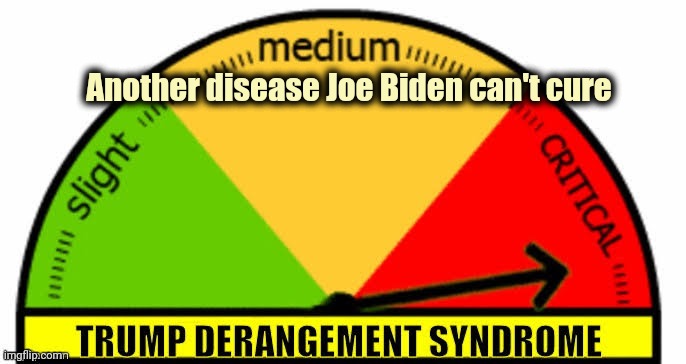 The whining continues , wtf ? | Another disease Joe Biden can't cure | image tagged in dempanic,victim,practice,you must,crying,whiners | made w/ Imgflip meme maker