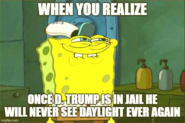 Trump | WHEN YOU REALIZE; ONCE D. TRUMP IS IN JAIL HE WILL NEVER SEE DAYLIGHT EVER AGAIN | image tagged in memes,don't you squidward | made w/ Imgflip meme maker