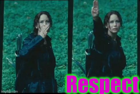 Katniss Respect | Respect | image tagged in katniss respect | made w/ Imgflip meme maker