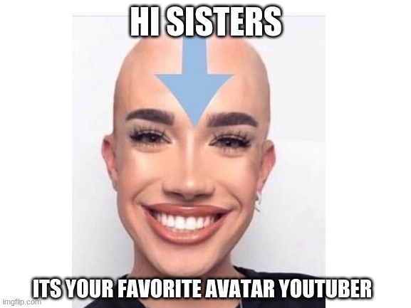 HI SISTERS; ITS YOUR FAVORITE AVATAR YOUTUBER | image tagged in james charles | made w/ Imgflip meme maker