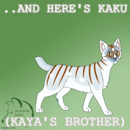 So here's Kaku.. | ..AND HERE'S KAKU; (KAYA'S BROTHER) | image tagged in cats | made w/ Imgflip meme maker
