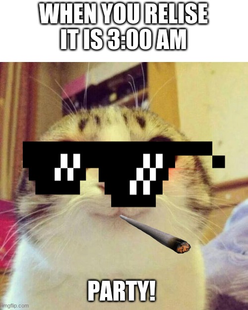 Smiling Cat Meme | WHEN YOU RELISE IT IS 3:00 AM; PARTY! | image tagged in memes,smiling cat | made w/ Imgflip meme maker