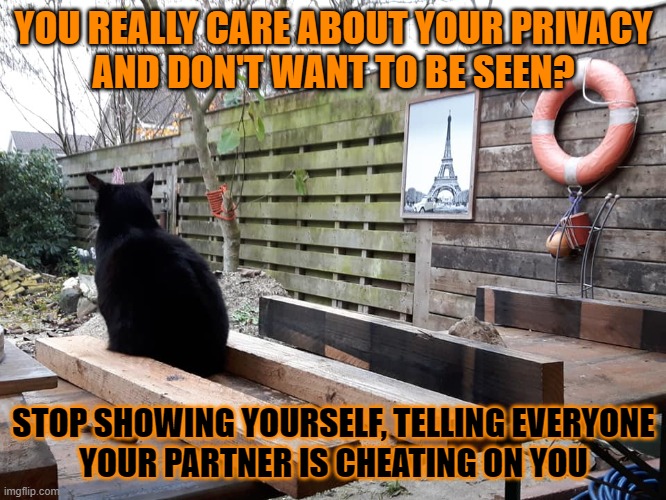 Do you care about your pivacy? | YOU REALLY CARE ABOUT YOUR PRIVACY
AND DON'T WANT TO BE SEEN? STOP SHOWING YOURSELF, TELLING EVERYONE
YOUR PARTNER IS CHEATING ON YOU | image tagged in privacy,cheating,lolcat | made w/ Imgflip meme maker