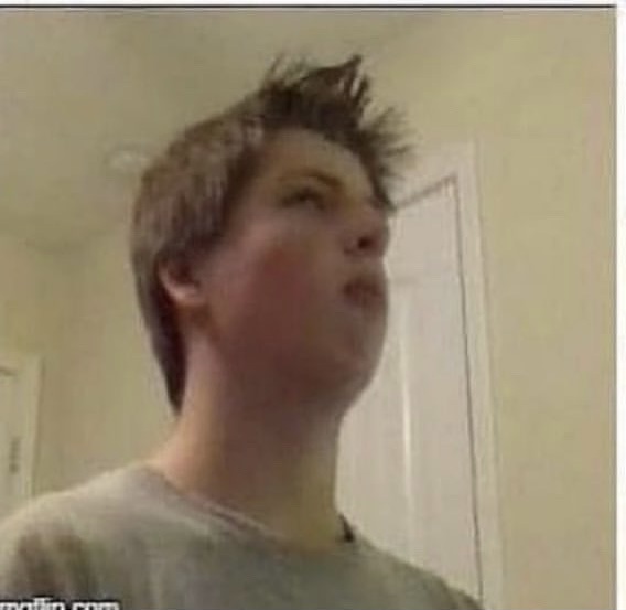 Tim Blank Meme Template