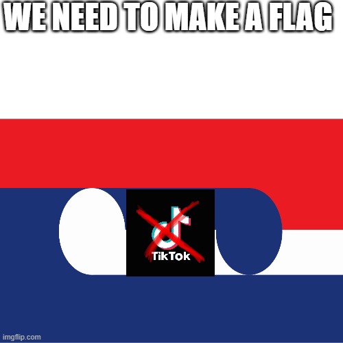 WE NEED TO MAKE A FLAG | made w/ Imgflip meme maker