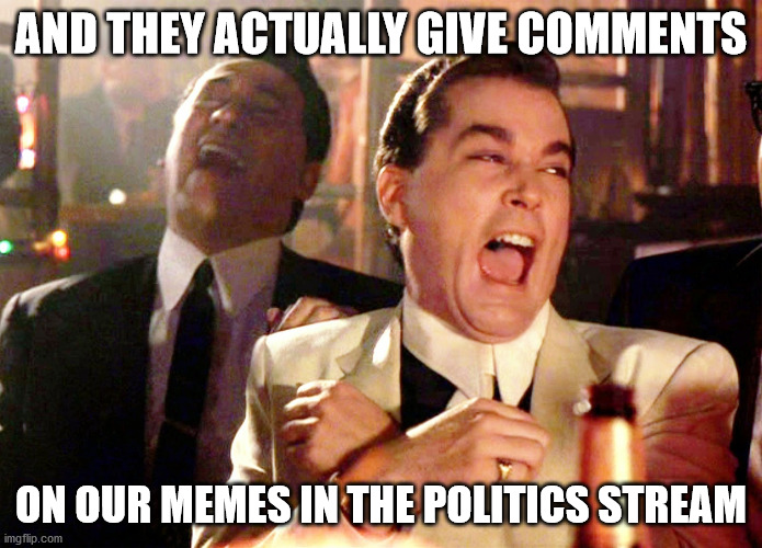 Don't feed the trolls! | AND THEY ACTUALLY GIVE COMMENTS; ON OUR MEMES IN THE POLITICS STREAM | image tagged in memes,good fellas hilarious | made w/ Imgflip meme maker