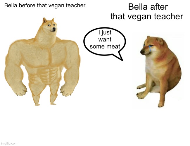 Poor bella | Bella before that vegan teacher; Bella after that vegan teacher; I just want some meat | image tagged in memes,buff doge vs cheems | made w/ Imgflip meme maker
