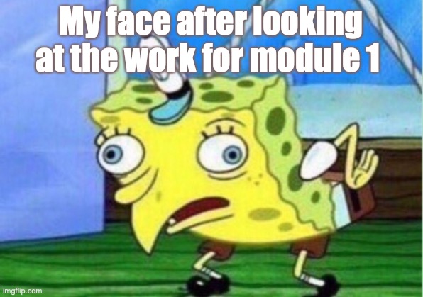 Mocking Spongebob | My face after looking at the work for module 1 | image tagged in memes,mocking spongebob | made w/ Imgflip meme maker