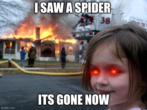 spider go bye |  I SAW A SPIDER; ITS GONE NOW | image tagged in memes,disaster girl | made w/ Imgflip meme maker