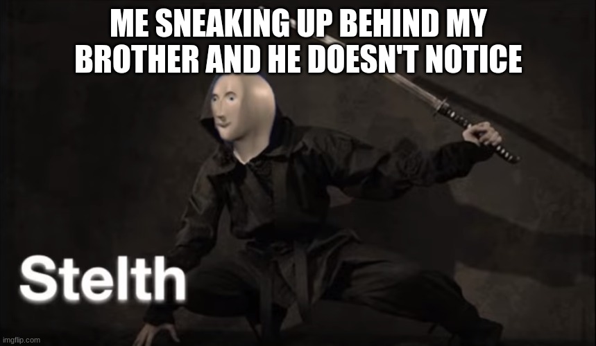 Stealth | ME SNEAKING UP BEHIND MY BROTHER AND HE DOESN'T NOTICE | image tagged in stealth | made w/ Imgflip meme maker