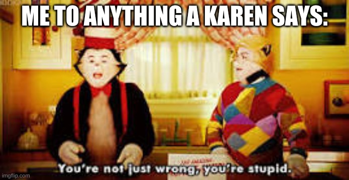 unless it's right. | ME TO ANYTHING A KAREN SAYS: | image tagged in your not just wrong your stupid | made w/ Imgflip meme maker